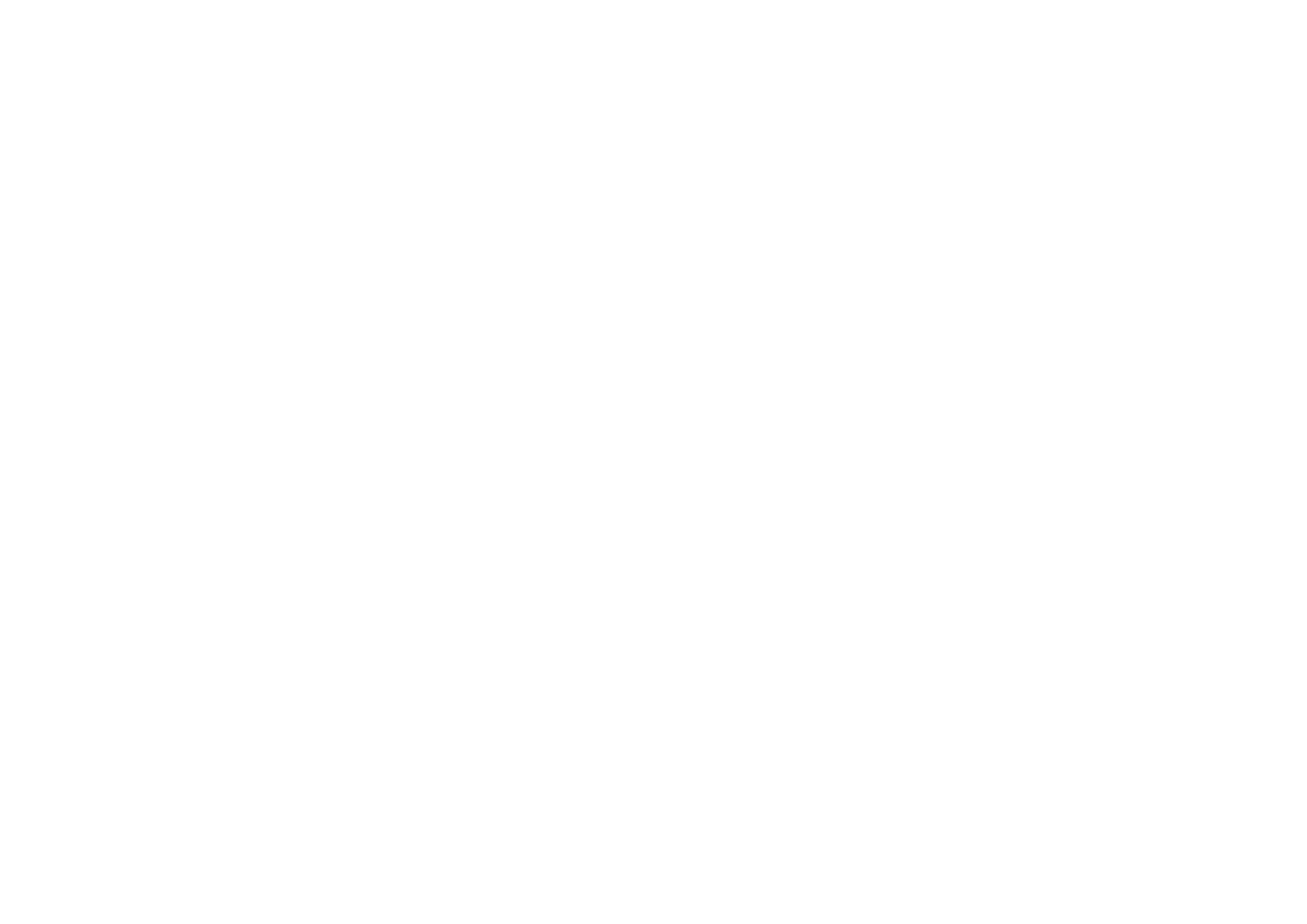 BR-RGW55HCZAH Линейная каретка