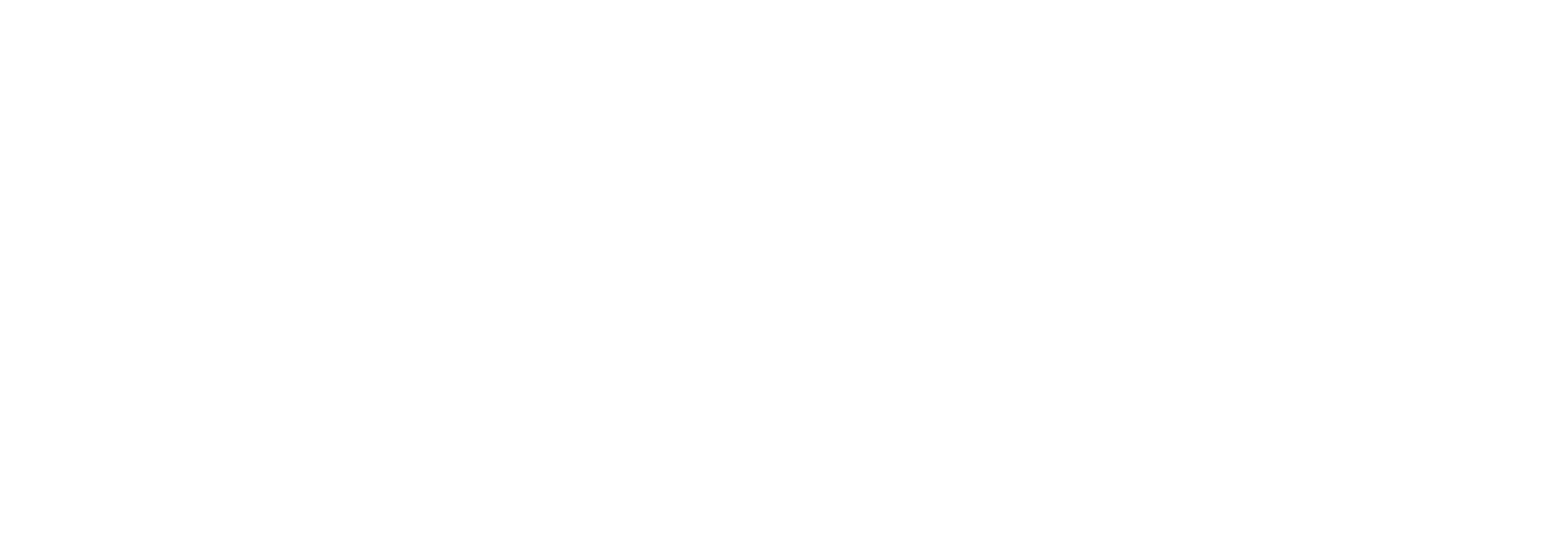 BR-RGR30RH 4500 роликовая направляющая